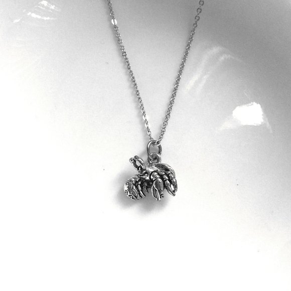 Miniature Tiny Hermit Crab Marine Life Ocean Life Shell Fish Animal Necklace - Picture 6 of 6